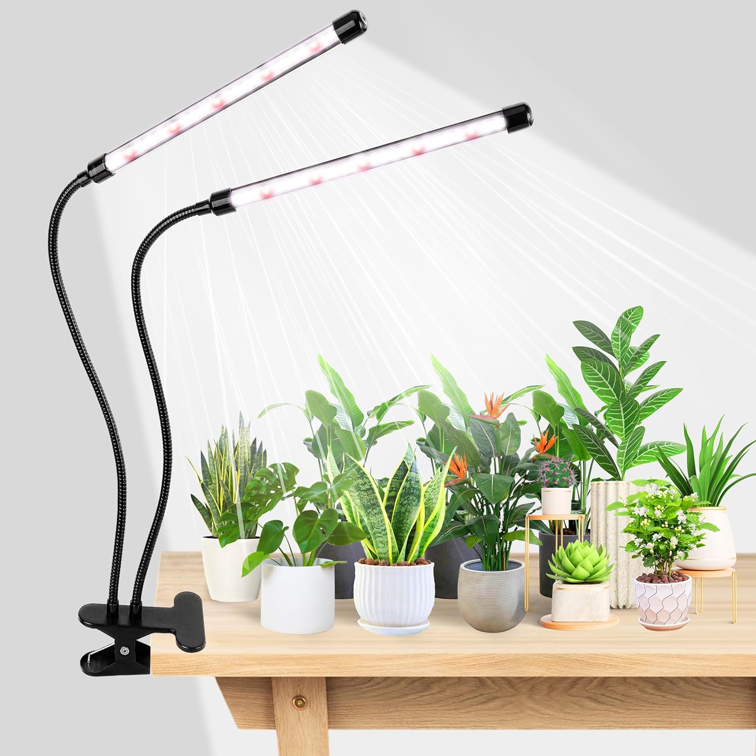 Food Storage Plants - KEBINCPLED Lámpara LED de crecimiento para