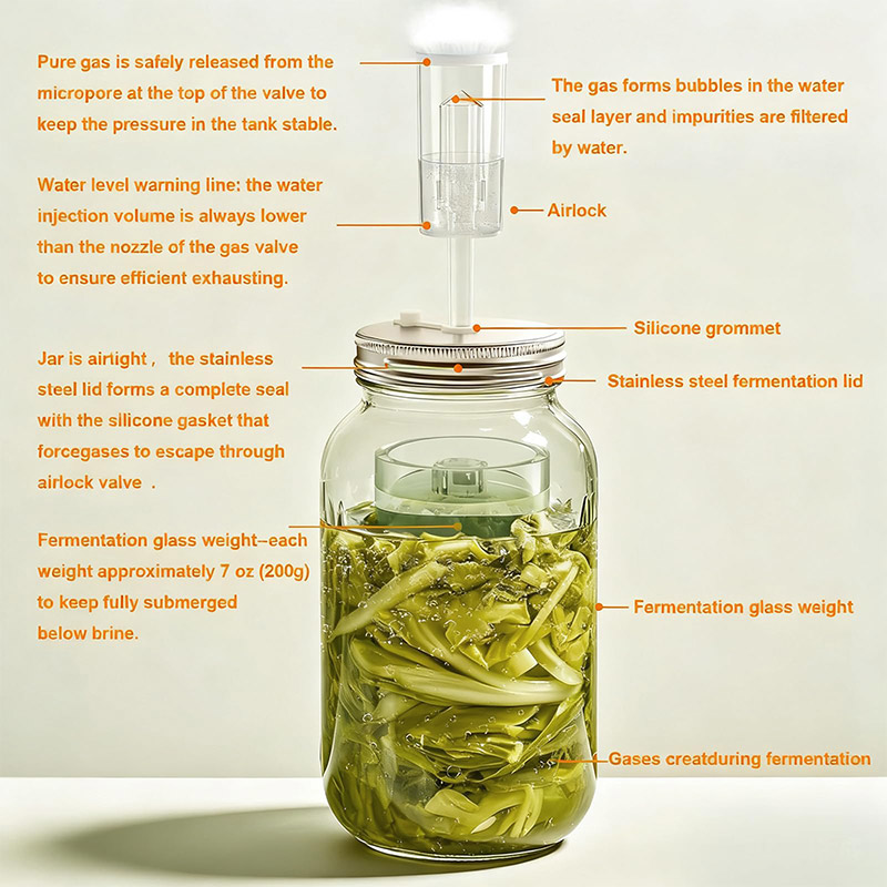 Mason Jar Wide Mouth - Kit de Fermentación, Juego de Tarros