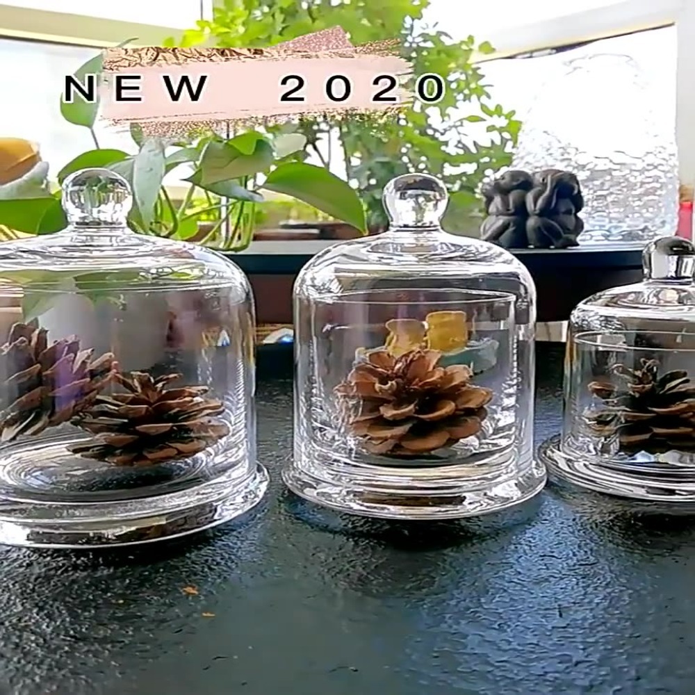 Food Storage Plants - Frasco de Vidrio para Almacenamiento, Flor