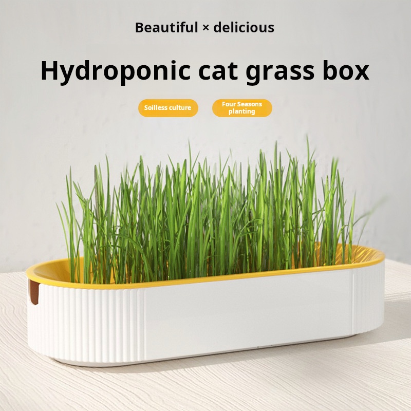 Caja de Cultivo Hidropónico pa - Food Storage Plants reseña y precio