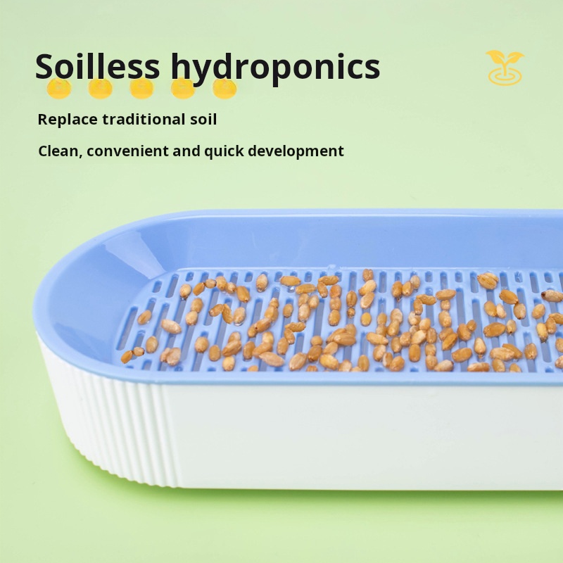 Caja de Cultivo Hidropónico pa - Food Storage Plants reseña y precio