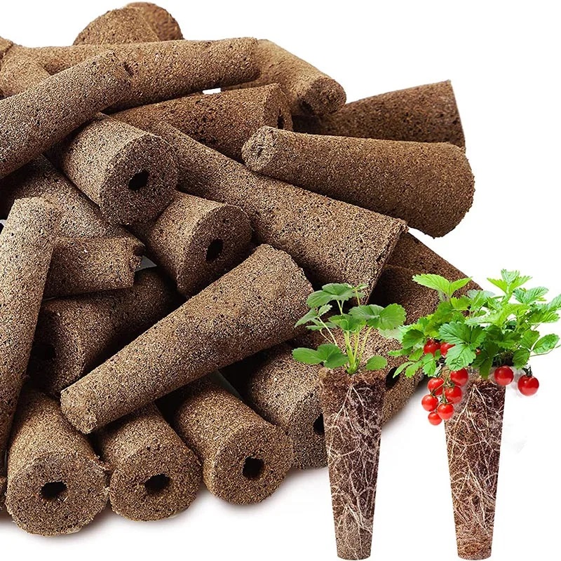Esponjas de cultivo de semilla - Food Storage Plants reseña y precio