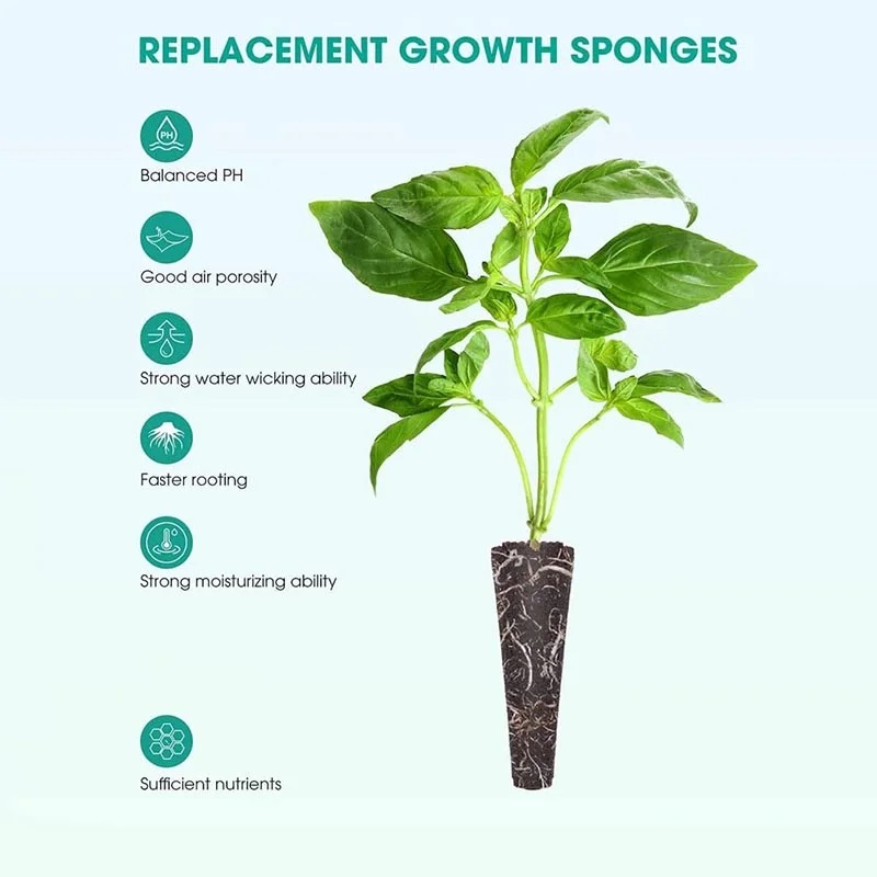 Esponjas de cultivo de semilla - Food Storage Plants reseña y precio