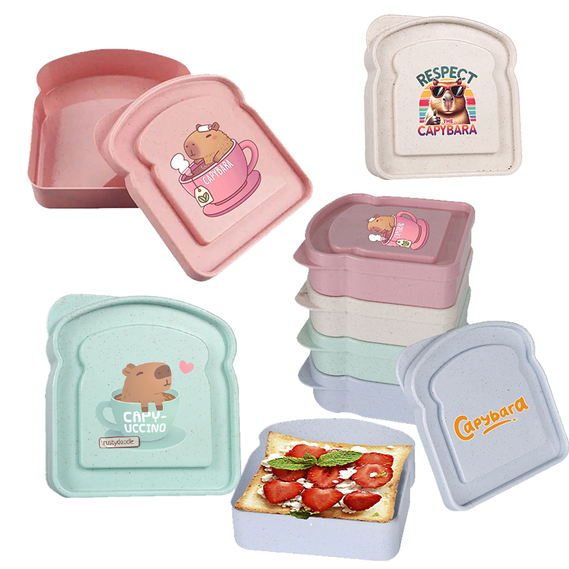Caja de almacenamiento de alim - Food Storage Box Plastic reseña y precio
