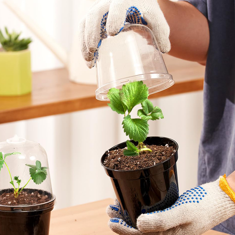 Macetas para Viveros, Macetas  - Food Storage Plants reseña y precio