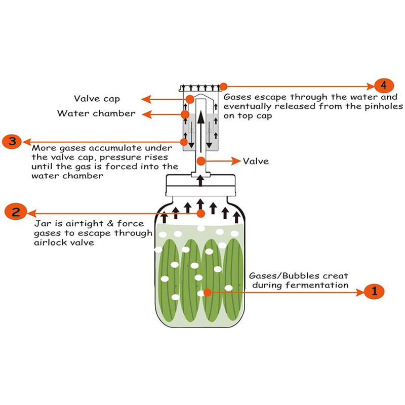 Tapa de fermentación de tarro  - Mason Jar Wide Mouth reseña y precio