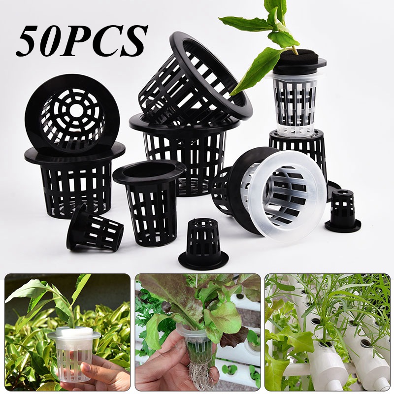 50 piezas de macetas de malla  - Food Storage Plants reseña y precio