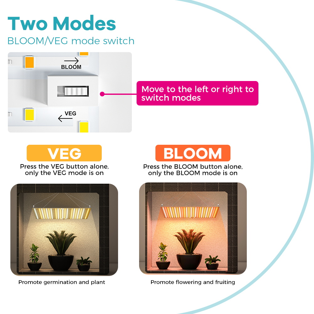 Luz LED Gorw de 350W para plan - Food Storage Plants reseña y precio