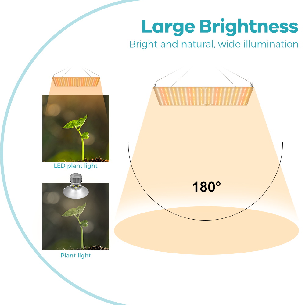 Luz LED Gorw de 350W para plan - Food Storage Plants reseña y precio