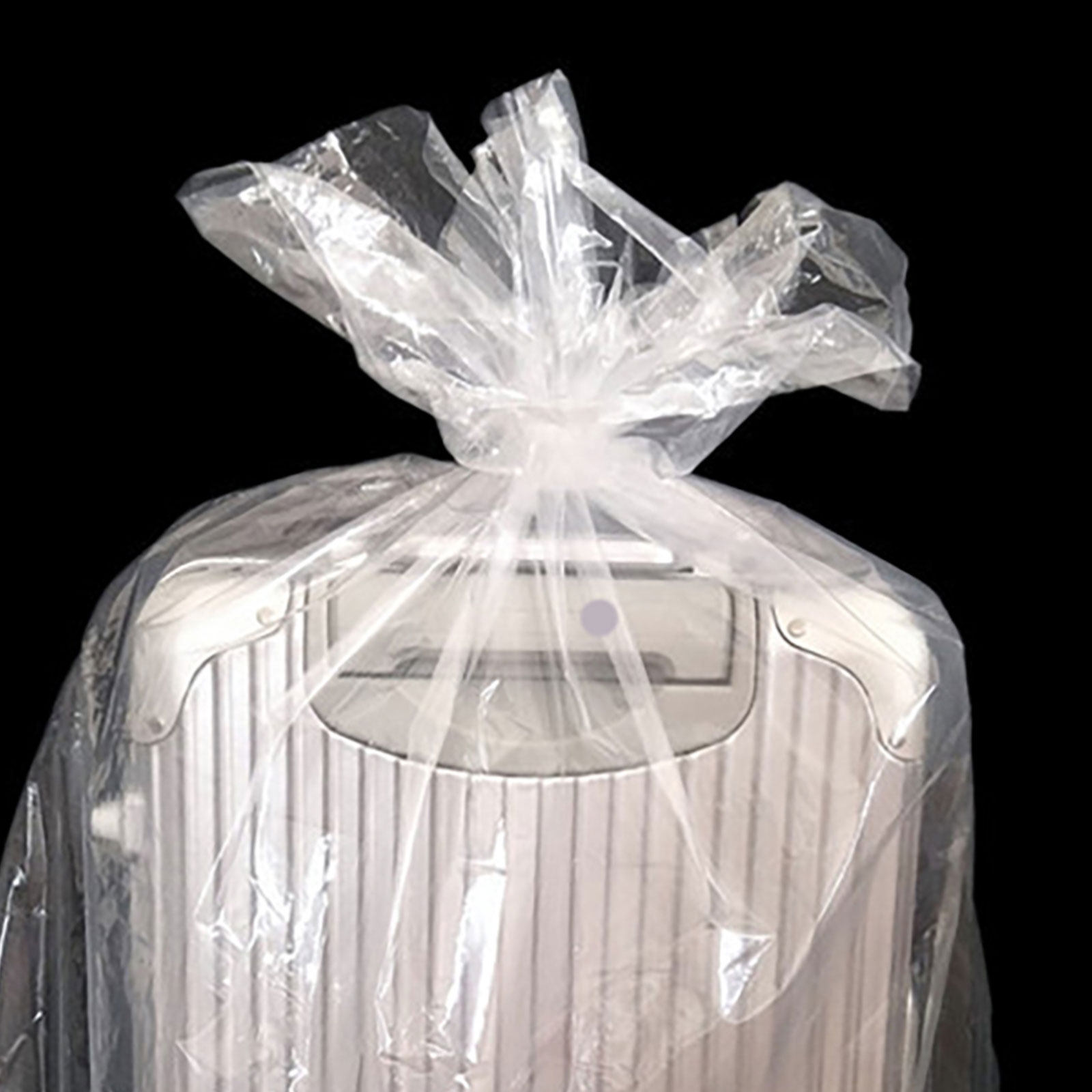 10 Bolsas Transparentes de Alt - Food Storage Safe reseña y precio