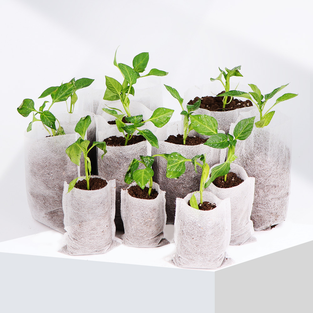 Bolsas de cultivo de plantas d - Food Storage Plants reseña y precio
