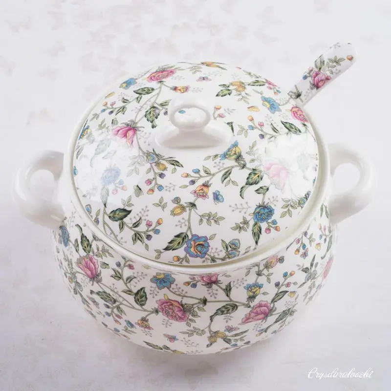 Turbina de porcelana de hueso  - Food Storage Plants reseña y precio