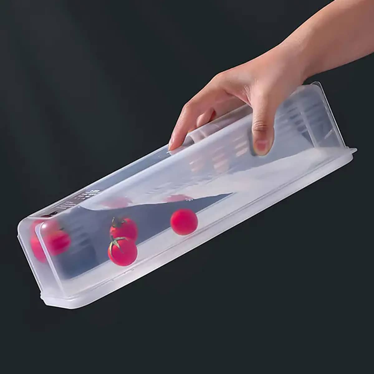 1 Caja de Almacenamiento Trans - Food Storage Box Plastic reseña y precio